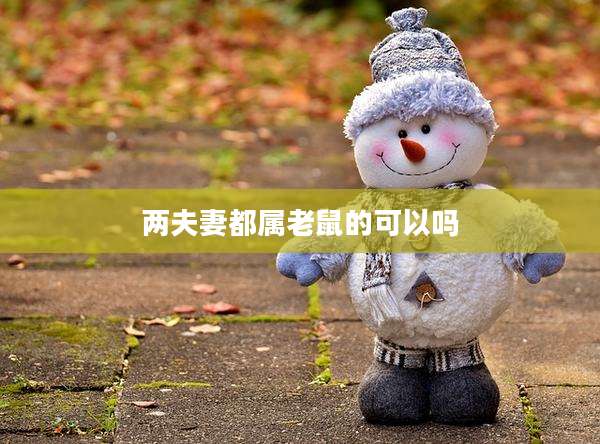 两夫妻都属老鼠的可以吗