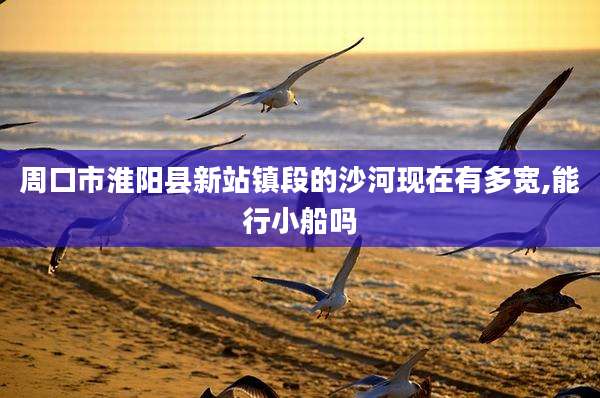 周口市淮阳县新站镇段的沙河现在有多宽,能行小船吗