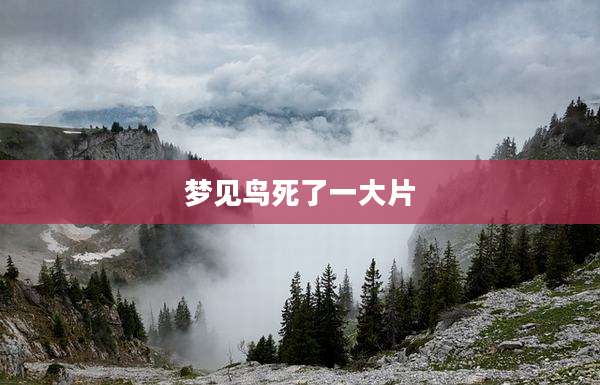 梦见鸟死了一大片