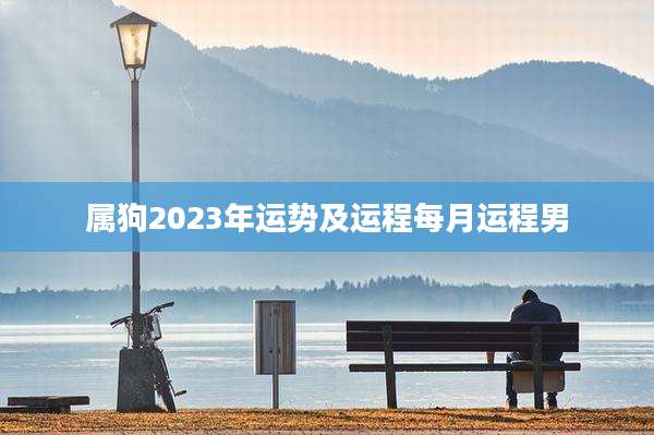 属狗2023年运势及运程每月运程男