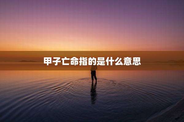 甲子亡命指的是什么意思