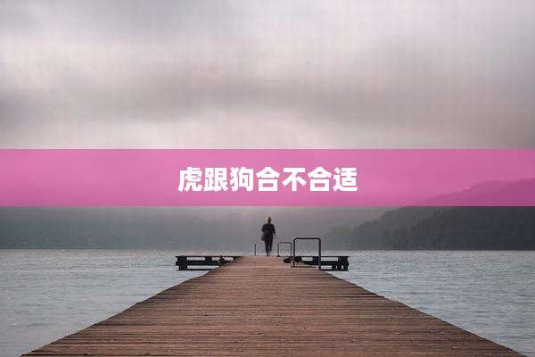 虎跟狗合不合适