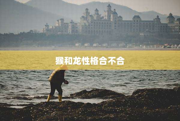 猴和龙性格合不合