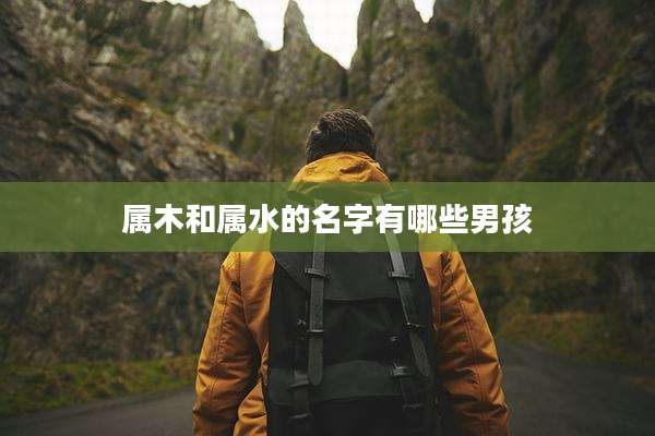 属木和属水的名字有哪些男孩