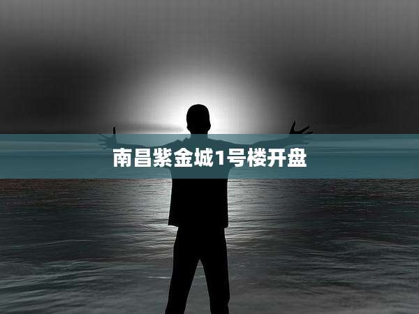 南昌紫金城1号楼开盘