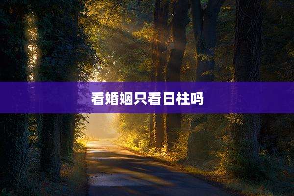 看婚姻只看日柱吗