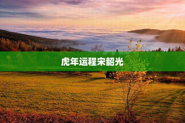 虎年运程宋韶光