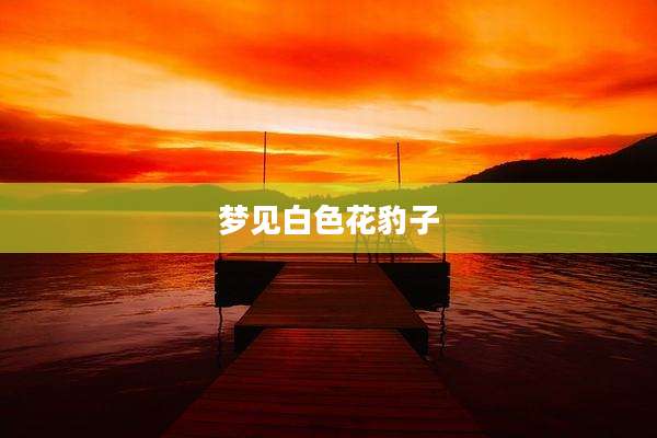 梦见白色花豹子