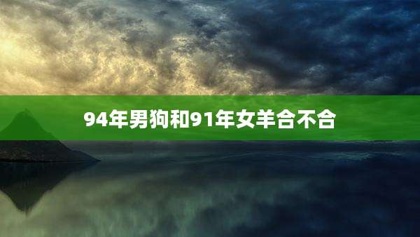 94年男狗和91年女羊合不合