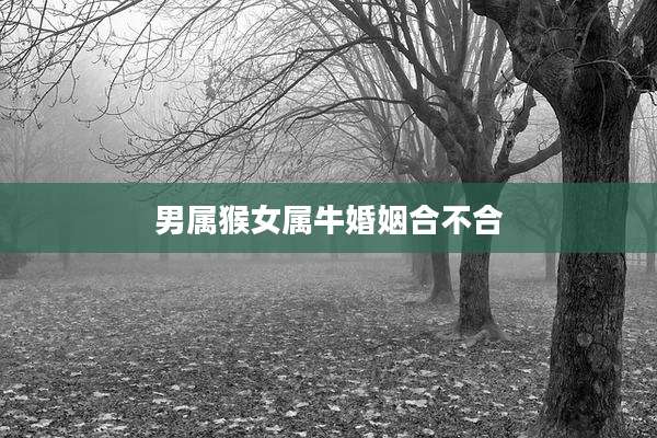 男属猴女属牛婚姻合不合
