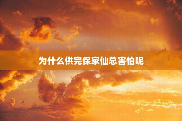 为什么供完保家仙总害怕呢