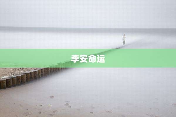 李安命运