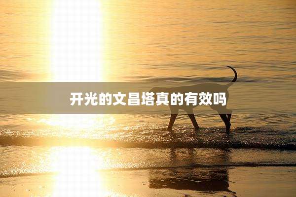 开光的文昌塔真的有效吗