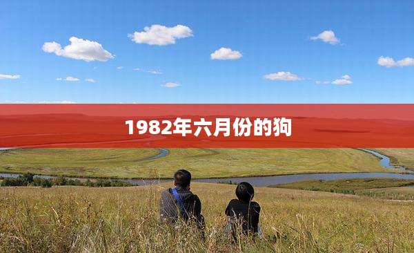 1982年六月份的狗