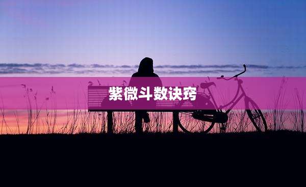紫微斗数诀窍