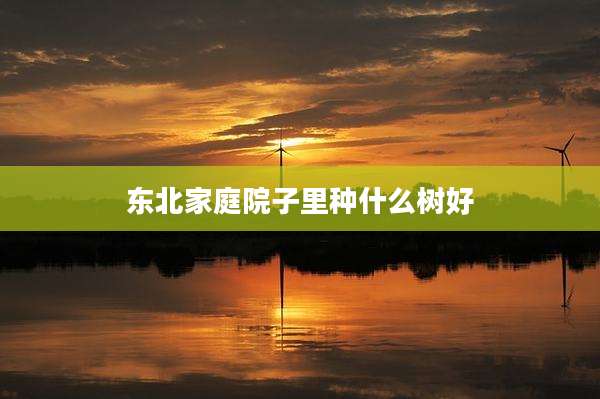 东北家庭院子里种什么树好
