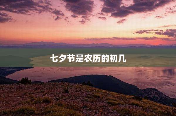 七夕节是农历的初几