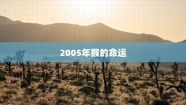 2005年猴的命运