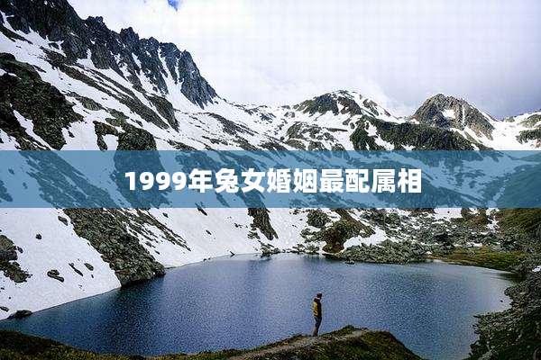 1999年兔女婚姻最配属相