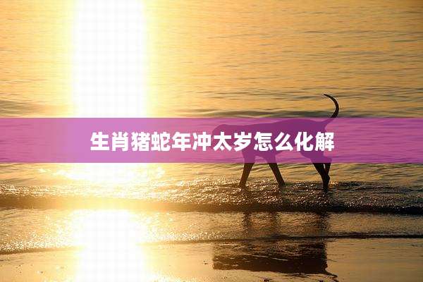 生肖猪蛇年冲太岁怎么化解