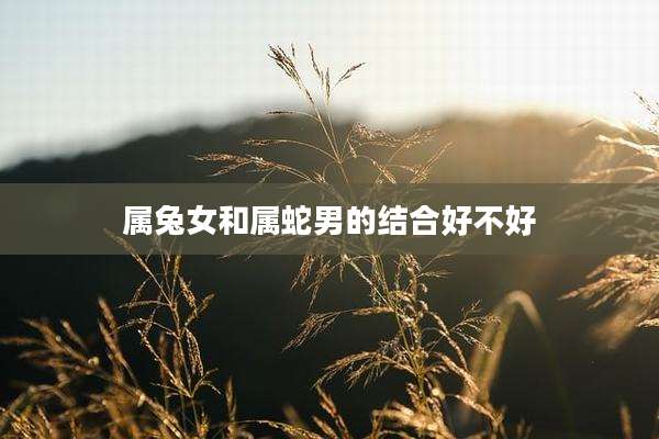 属兔女和属蛇男的结合好不好