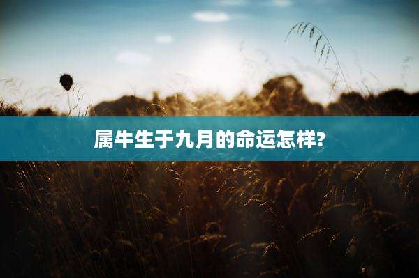 属牛生于九月的命运怎样?