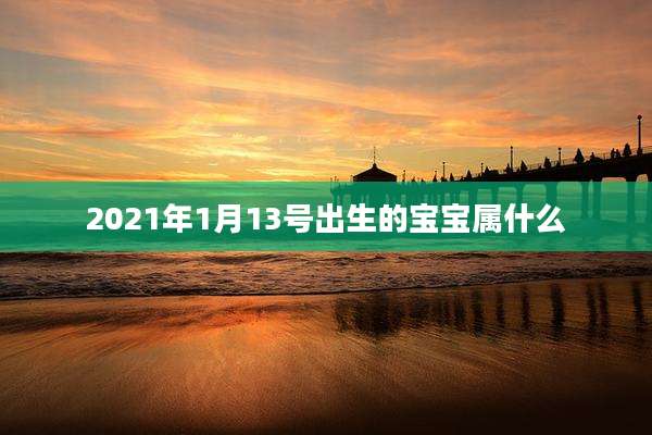2021年1月13号出生的宝宝属什么