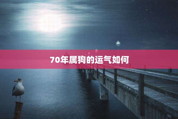 70年属狗的运气如何