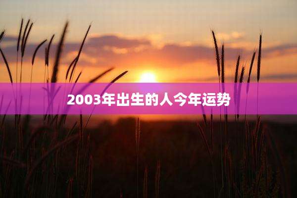 2003年出生的人今年运势