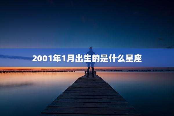 2001年1月出生的是什么星座