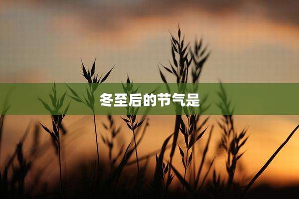 冬至后的节气是