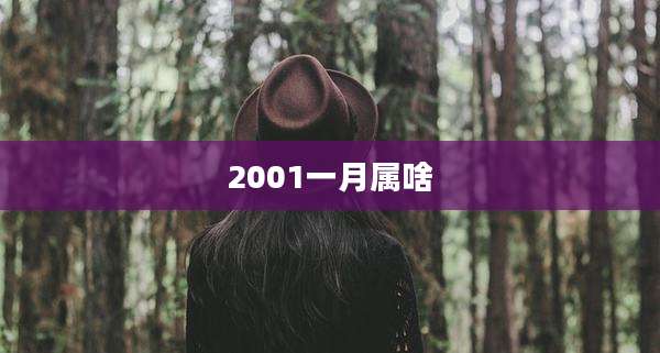 2001一月属啥