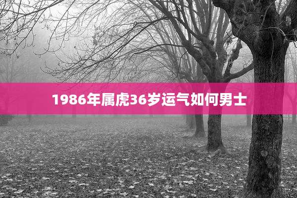 1986年属虎36岁运气如何男士