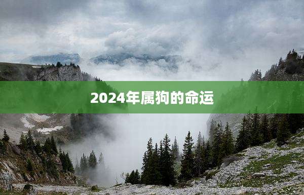 2024年属狗的命运