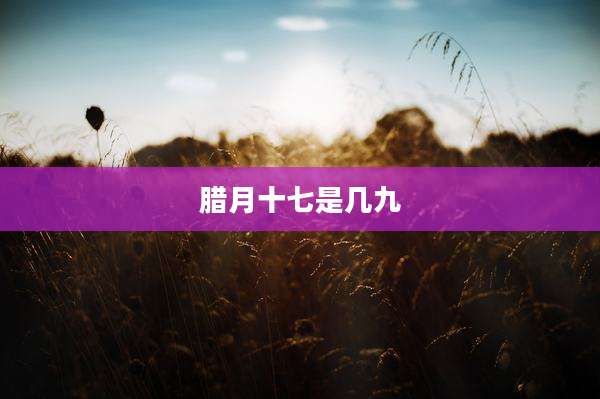 腊月十七是几九