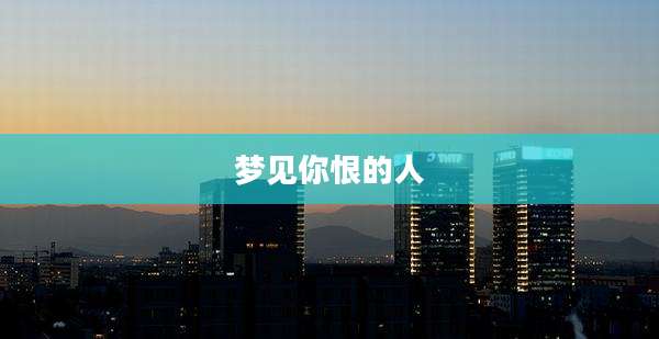 梦见你恨的人