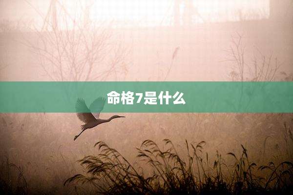 命格7是什么