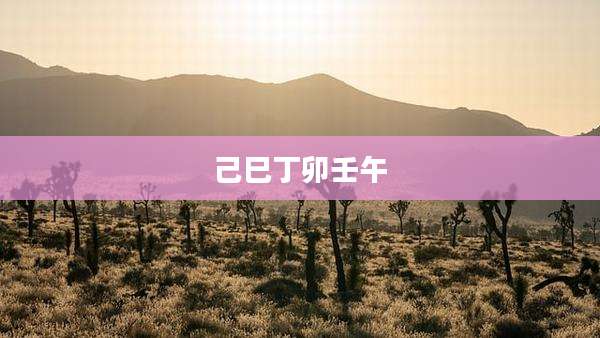 己巳丁卯壬午