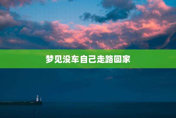 梦见没车自己走路回家