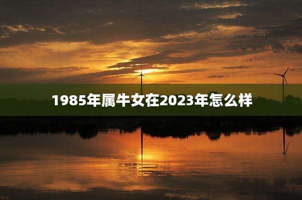 1985年属牛女在2023年怎么样