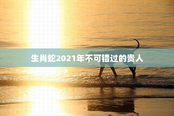 生肖蛇2021年不可错过的贵人
