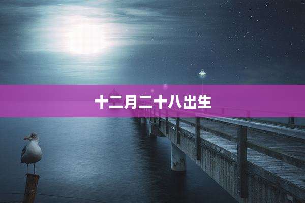 十二月二十八出生