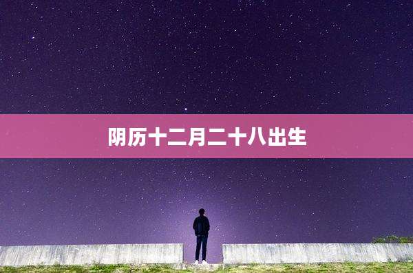 阴历十二月二十八出生