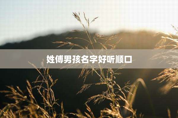 姓傅男孩名字好听顺口