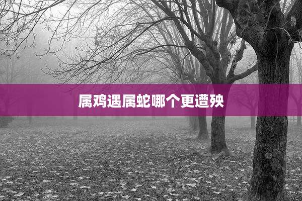 属鸡遇属蛇哪个更遭殃