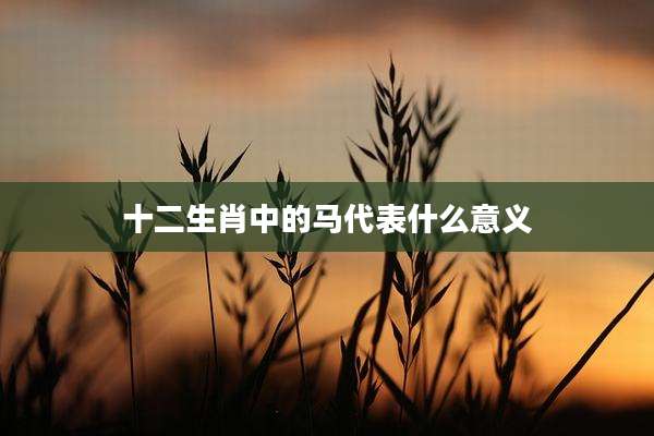 十二生肖中的马代表什么意义
