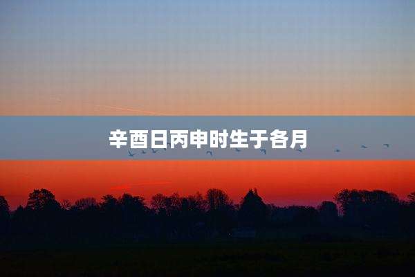辛酉日丙申时生于各月