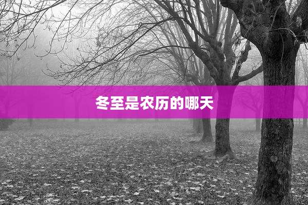 冬至是农历的哪天
