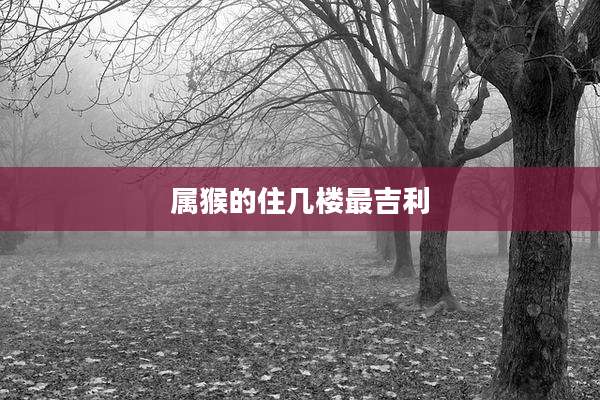 属猴的住几楼最吉利