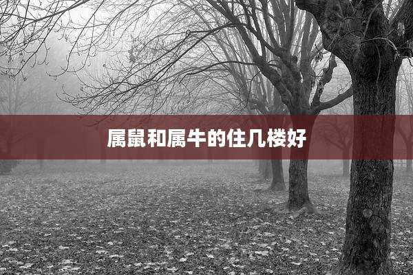 属鼠和属牛的住几楼好